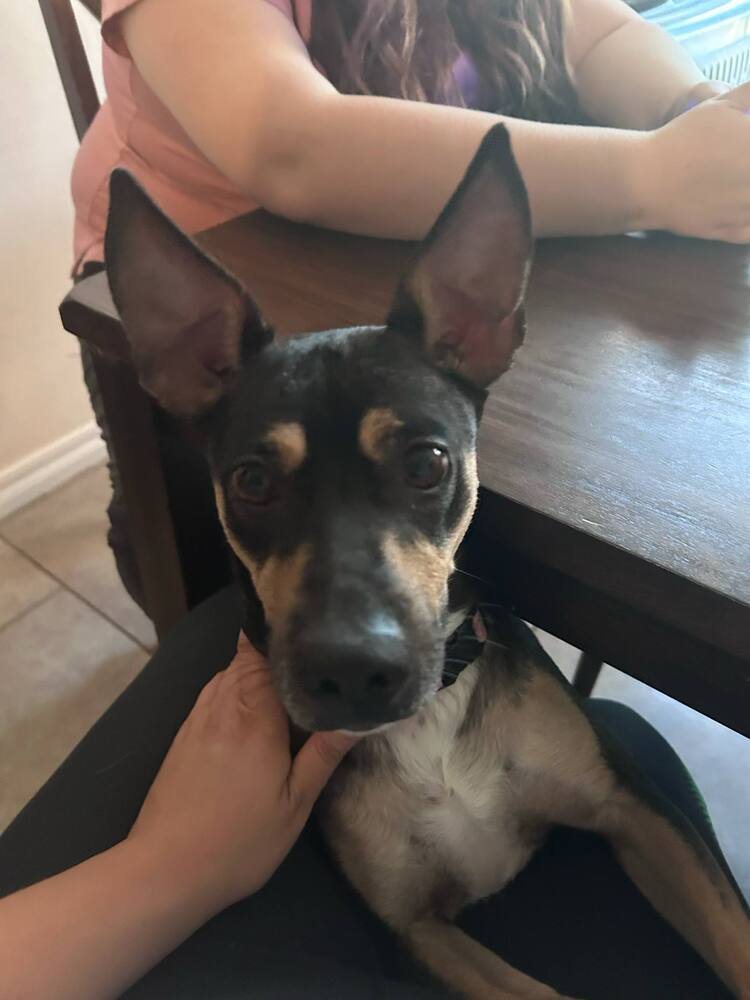 Sophie