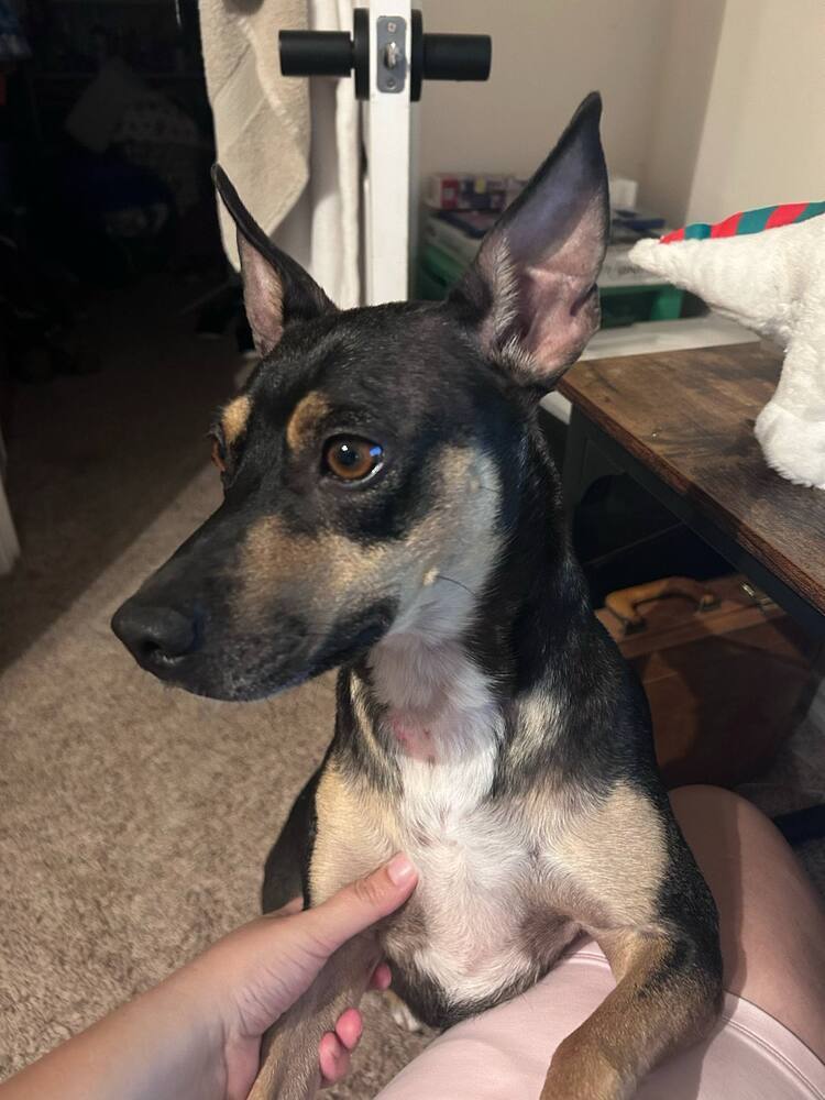 Sophie