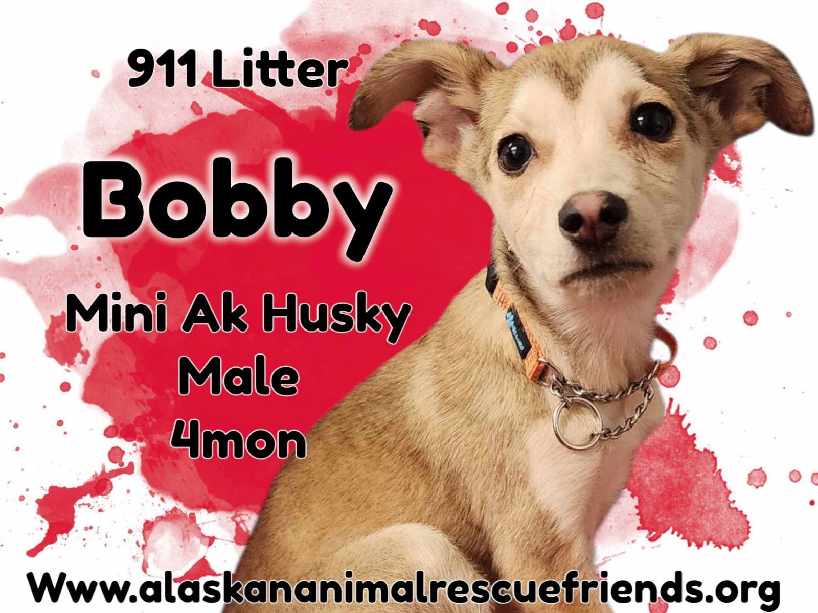 911 - Bobby