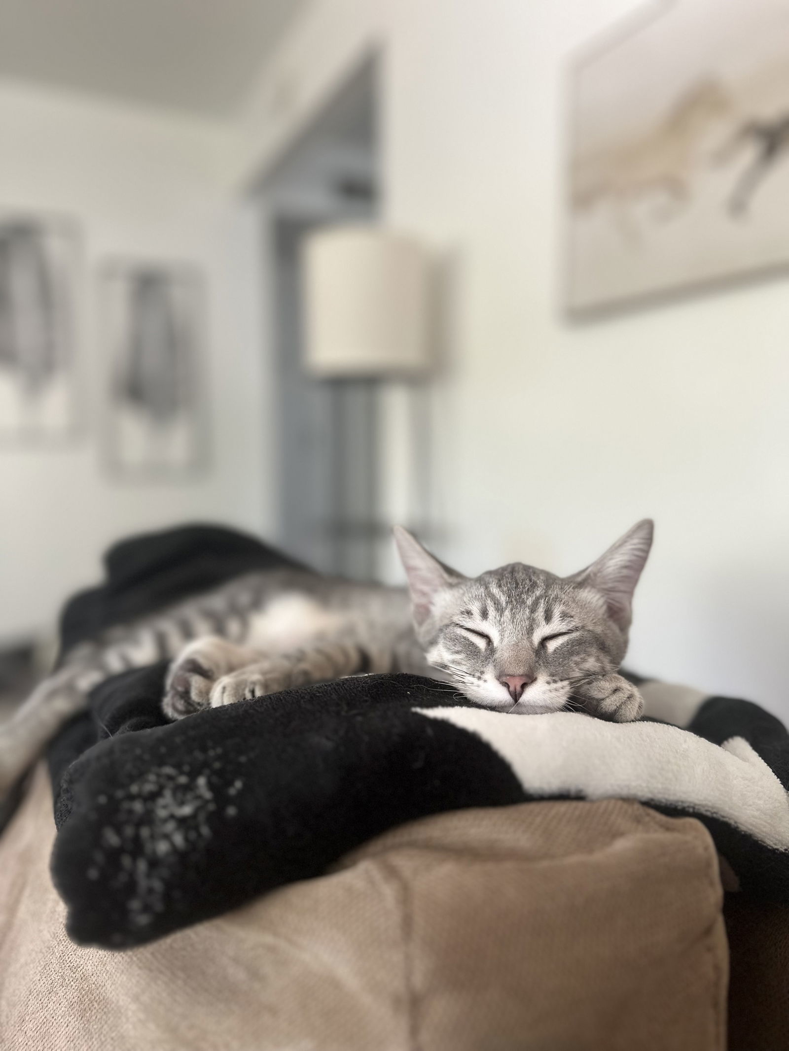Smokey ( Nicole )