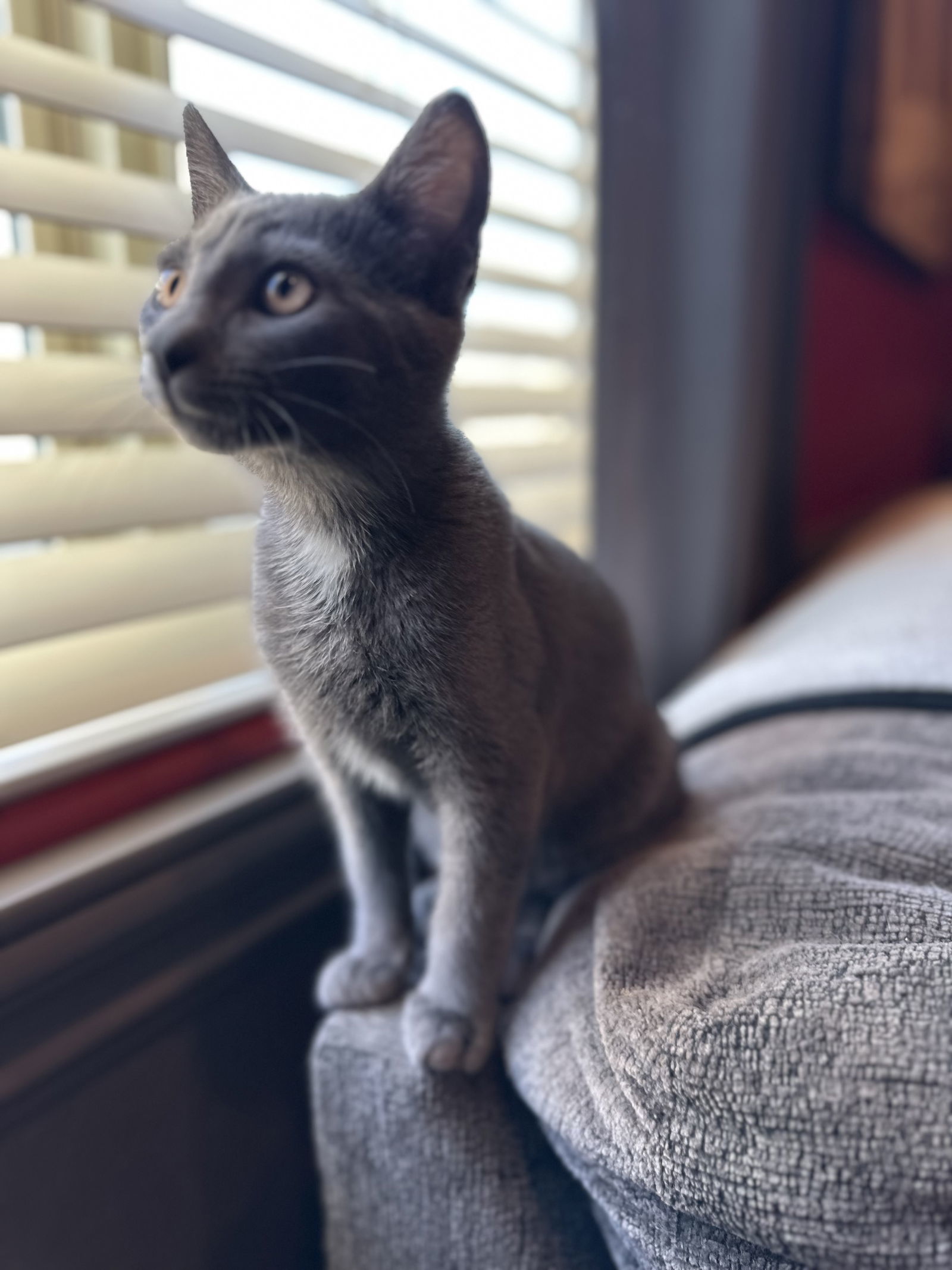 Malcolm ( Monica)
