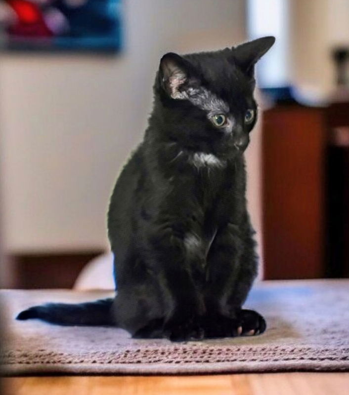 Binx