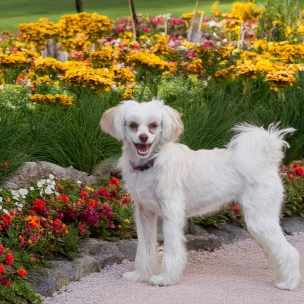 Josie Quinn thumbnail 2