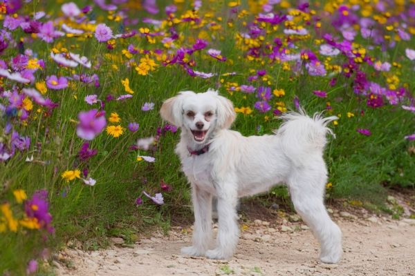 Josie Quinn thumbnail 3