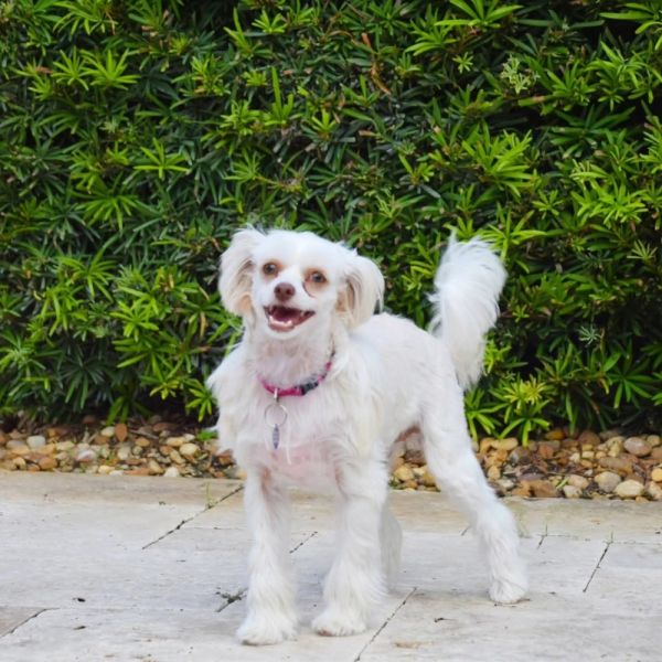 Josie Quinn thumbnail 4