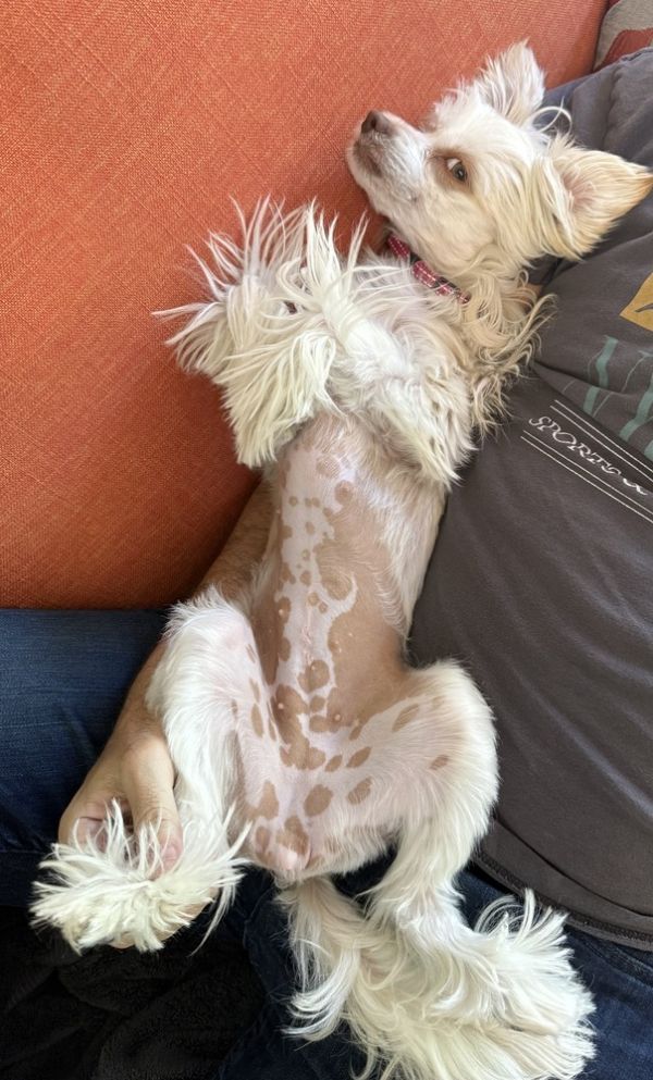 Josie Quinn thumbnail 6