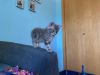 Quad photo 1