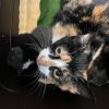 Effie photo 2