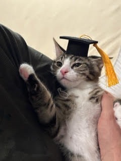 Luca