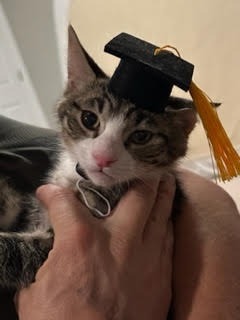 Luca