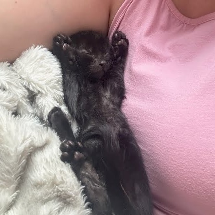 Peanut