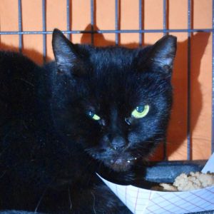 Eeny, Adult Female unknown