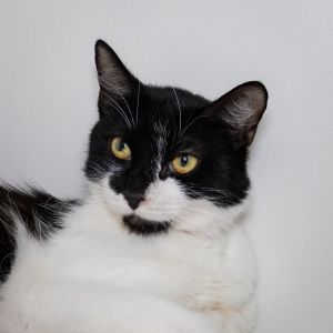 Eliza, Adult Female unknown
