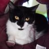 Eliza photo 3