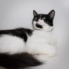 Eliza photo 4