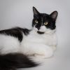 Eliza photo 5