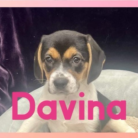 Davina