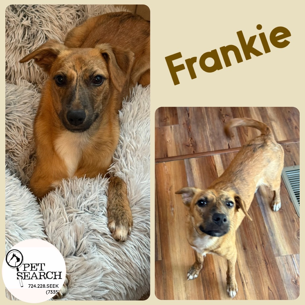 Frankie