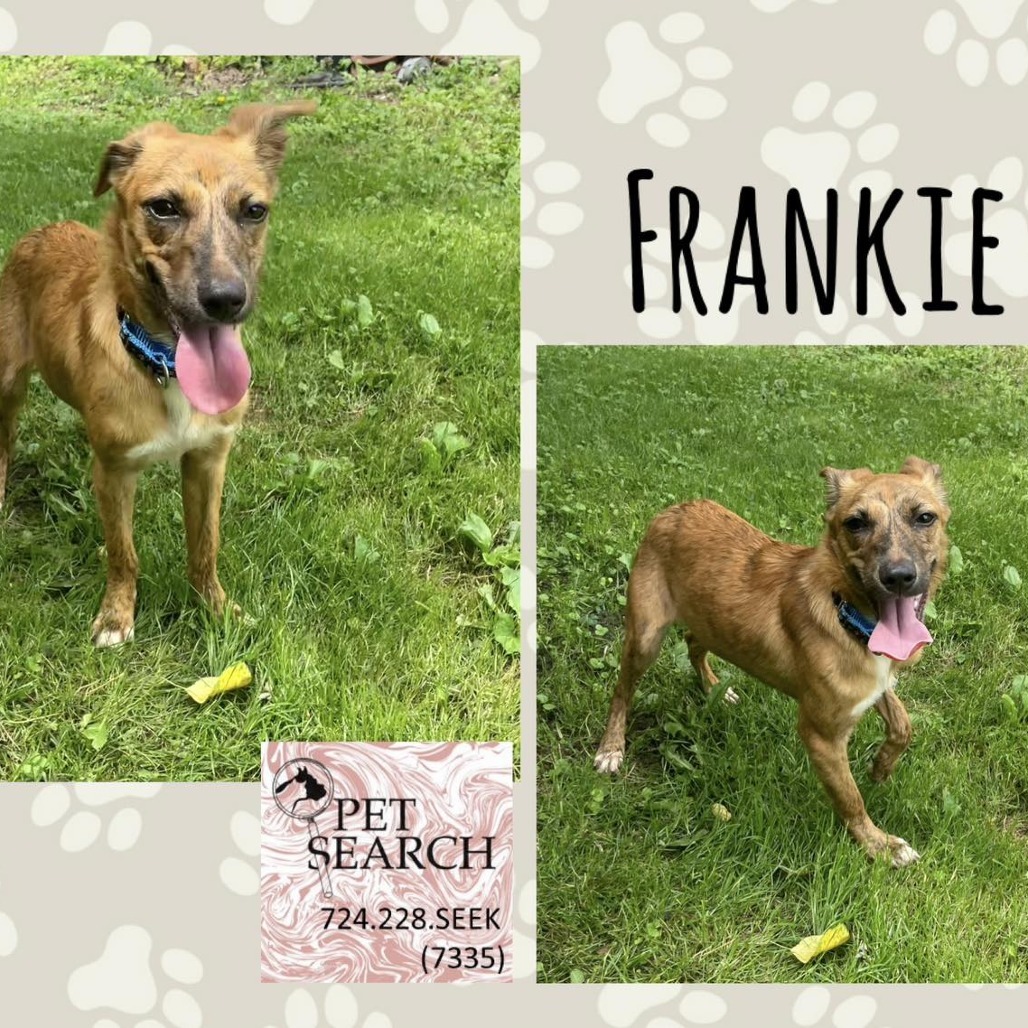 Frankie