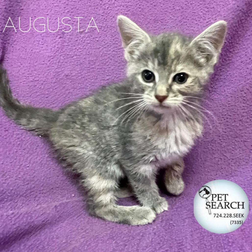 Augusta