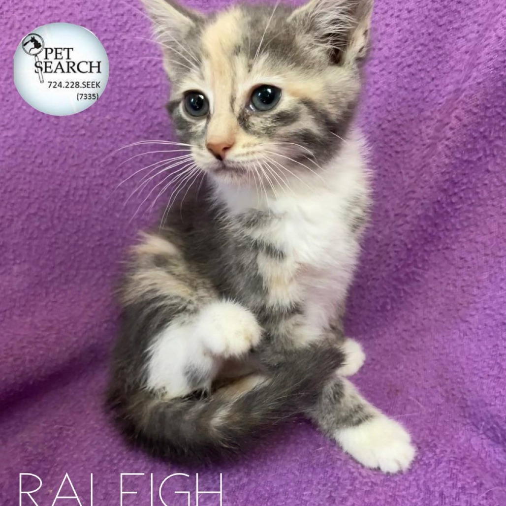 Raliegh