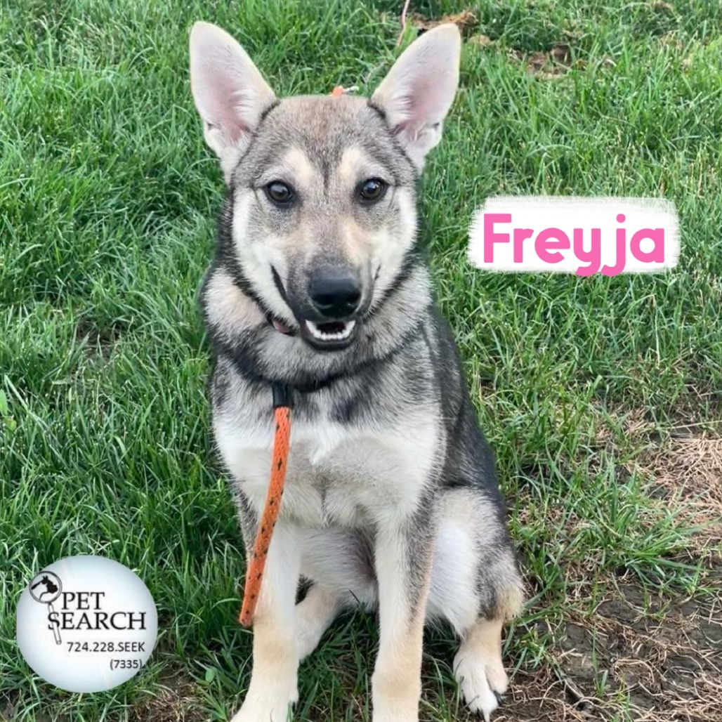 Freyja