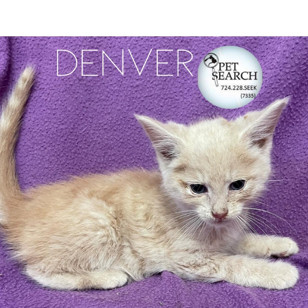 Denver