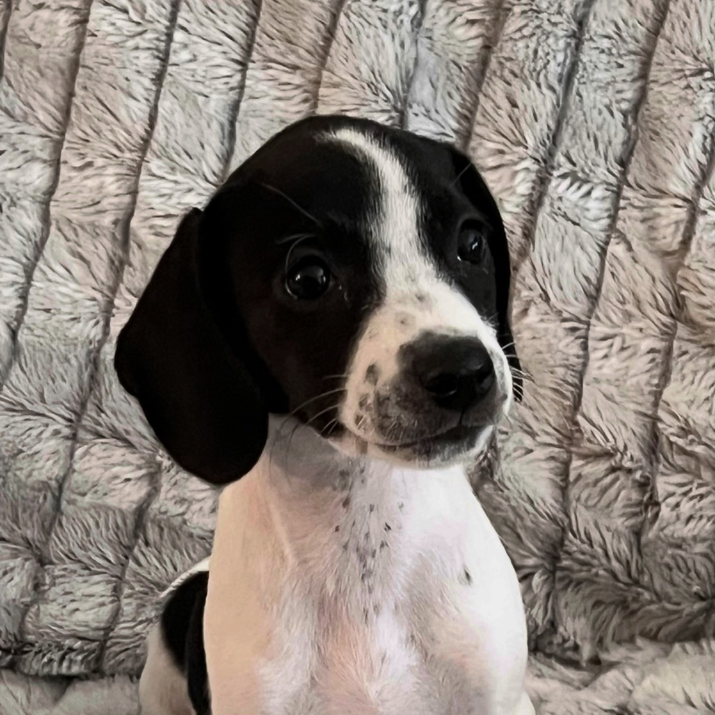 Lucy