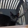 Sunfire photo 1