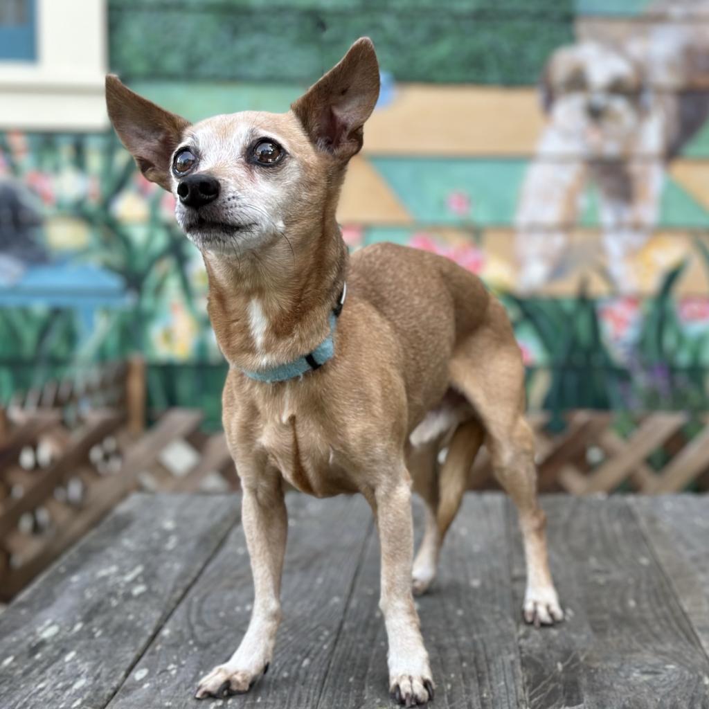 Russell aka Rusty