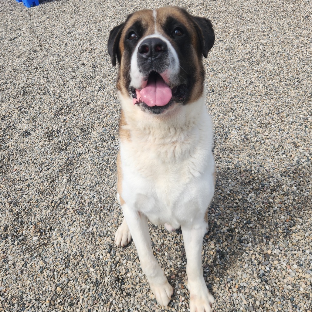 Roscoe