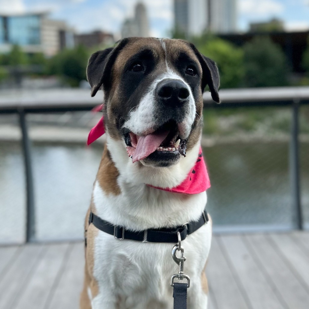 Roscoe