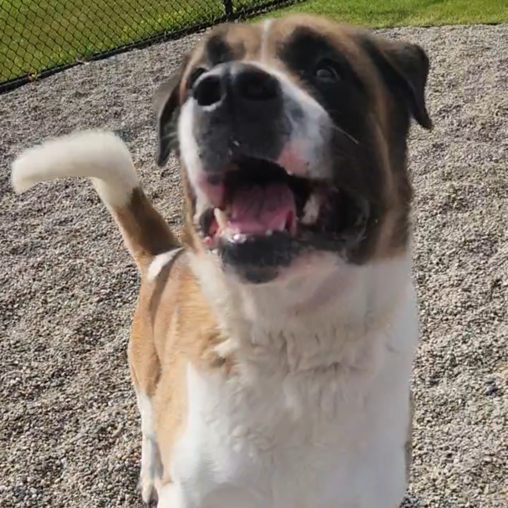 Roscoe