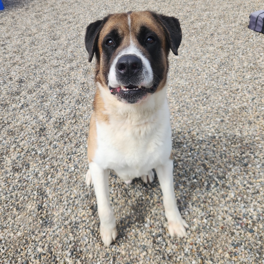 Roscoe
