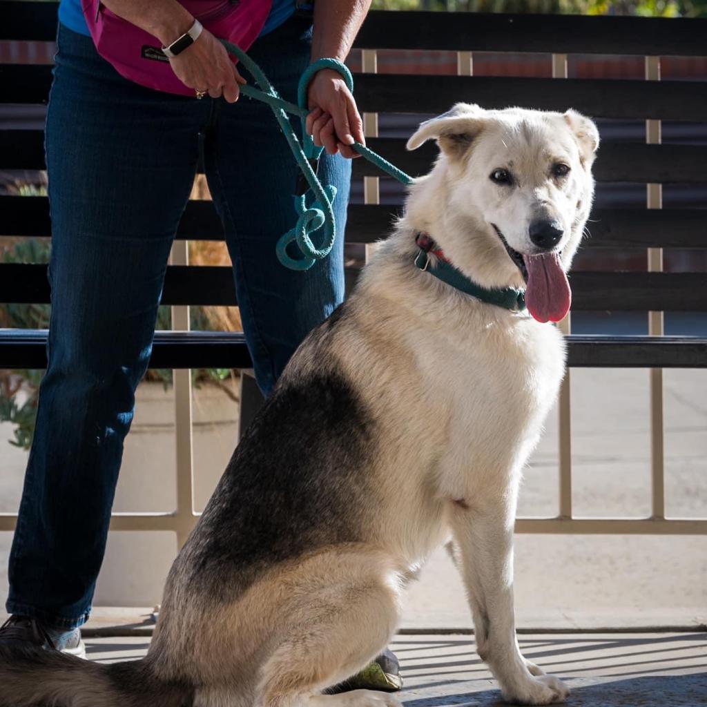 Arrow (C000-683)-Chino Hills Location