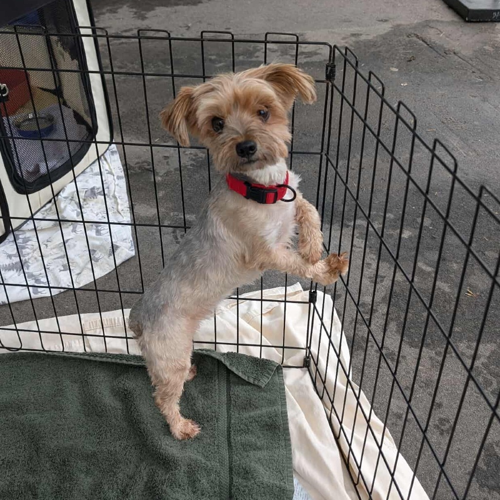 Peggy