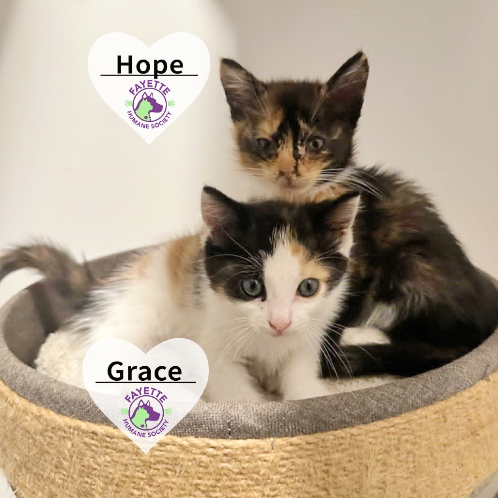 Grace