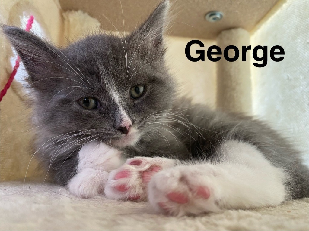 George