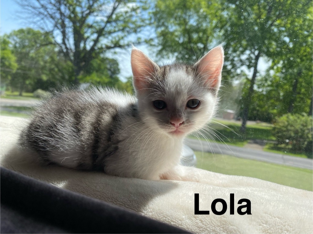 Lola