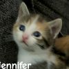 Jennifer photo 3
