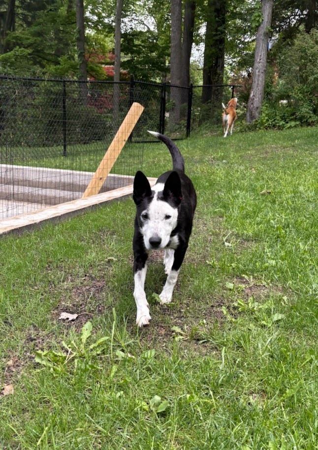 Chloe