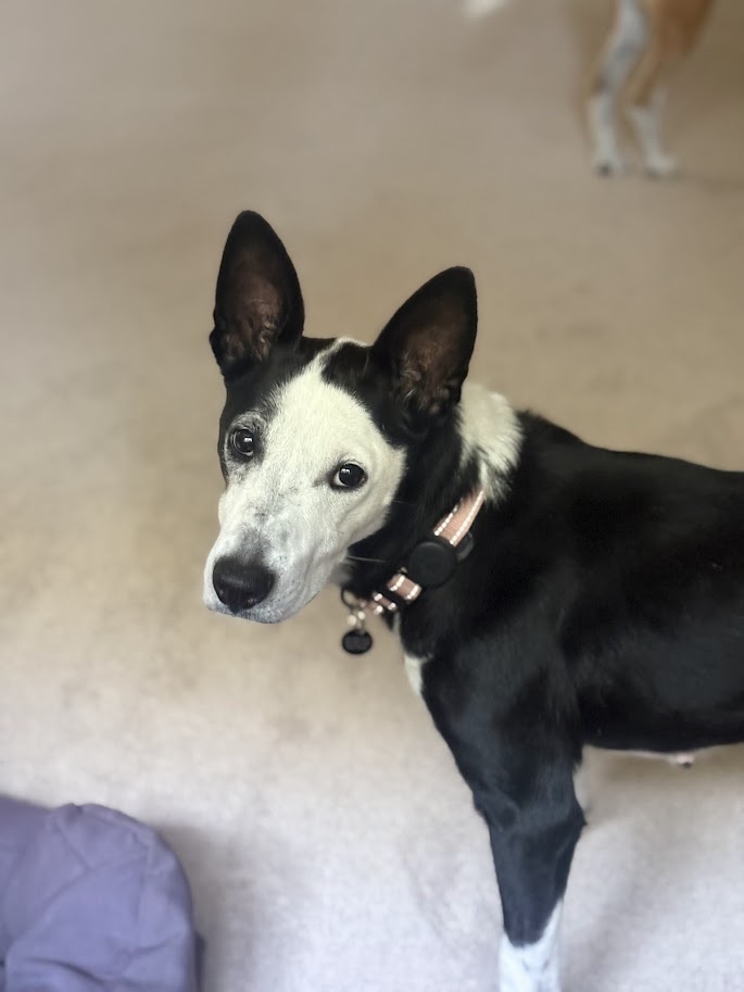 Chloe