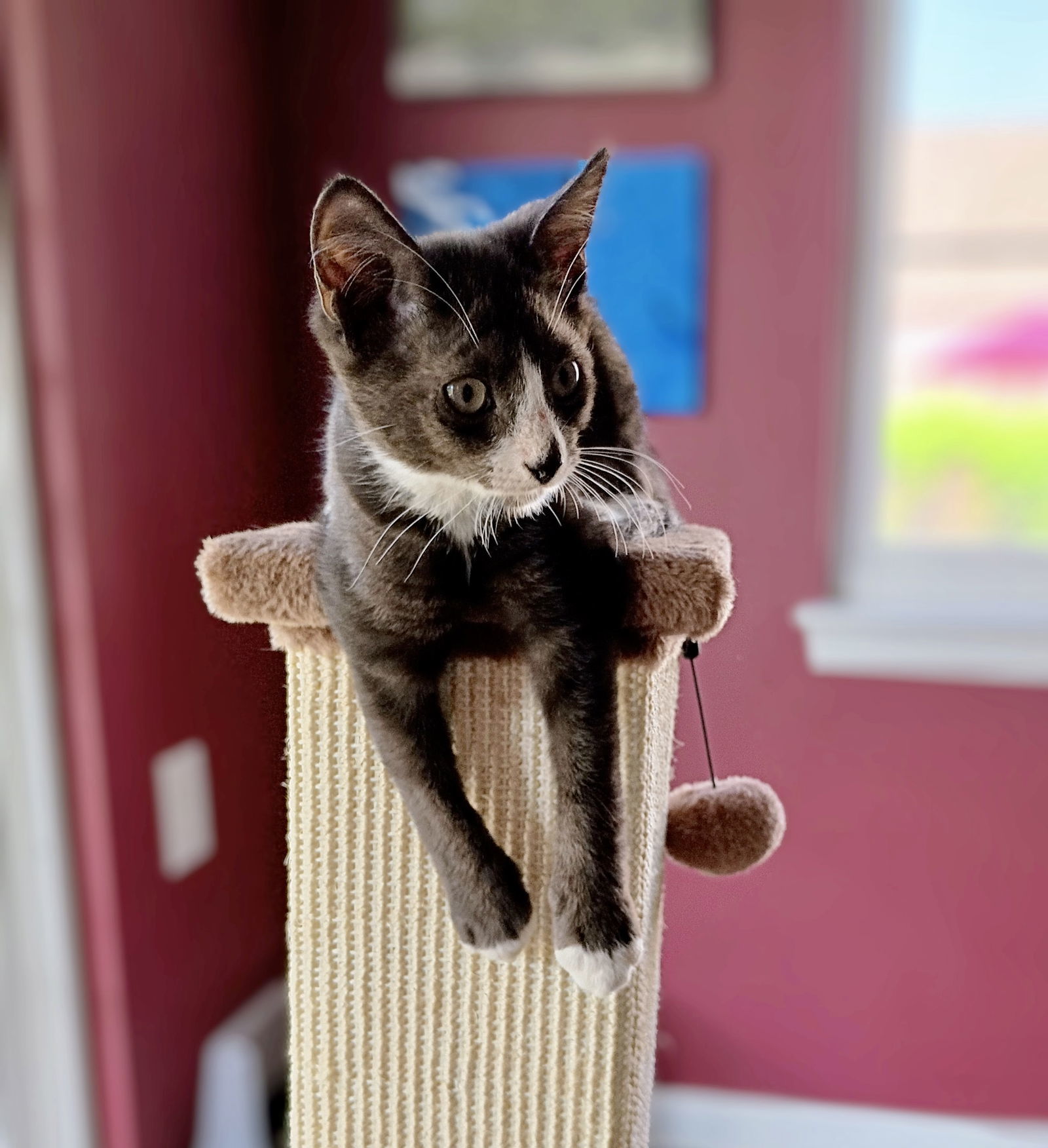 Klondike