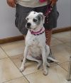 Lilly photo 3