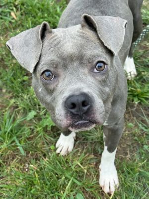 Baby Girl, Adult Female unknown
