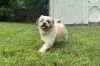 Bailey photo 2