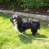 Sophie Lou photo 1