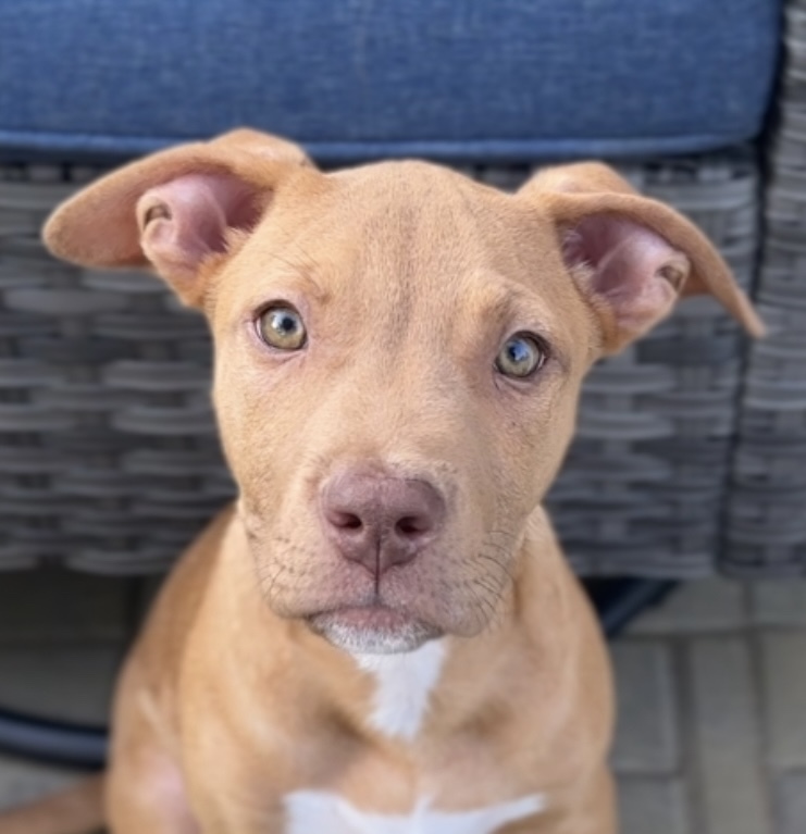Rusty