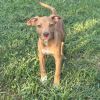 Rusty photo 5