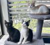 Pixel photo 2